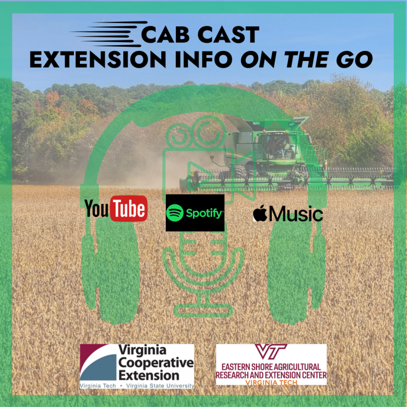 CabCast Podcasts: Extension Info on the Go